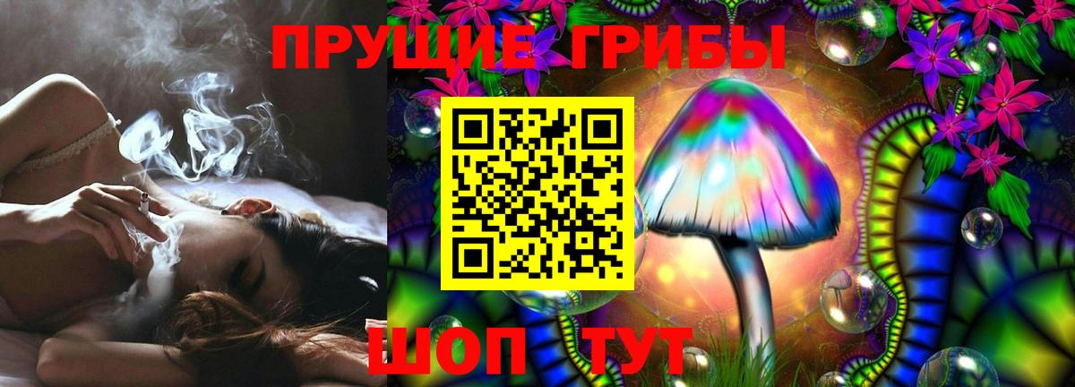 Псилоцибиновые грибы Psilocybine cubensis  Вход с VPN  Михайловск 