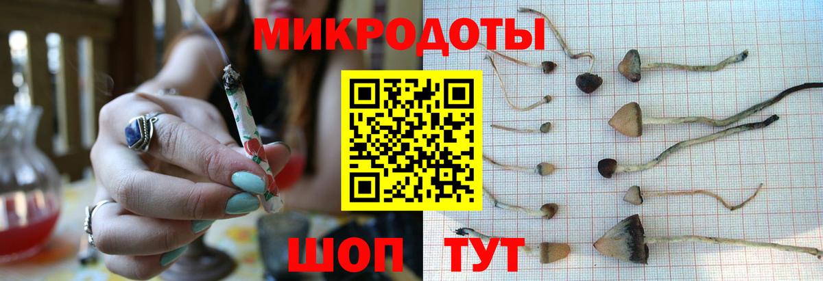 Галлюциногенные грибы ЛСД Михайловск